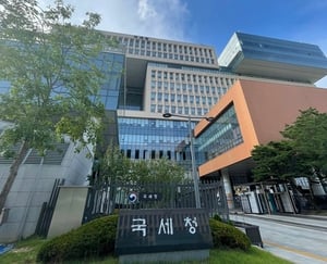 "외화니까 안 걸려"…유튜버 탈세 수법, 연예인 못지않았다