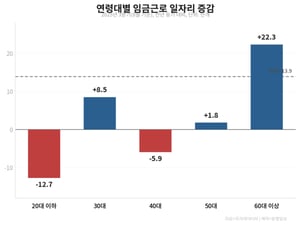 "14만개 증가"의 실체…60대 22만개 만들고, 20대는 13만개 잃었다